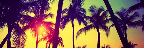 effefefe's profile banner image