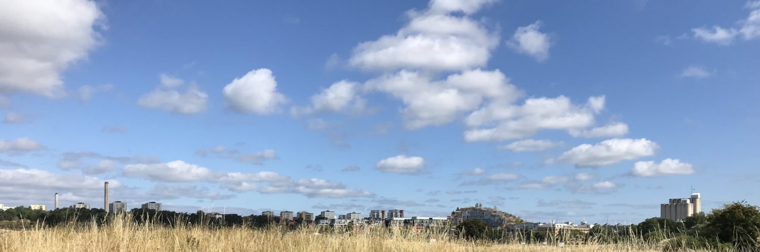 ccvbrostroem's profile banner image