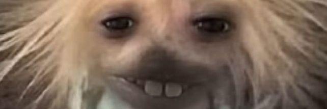 lilsalmorejo's profile banner image