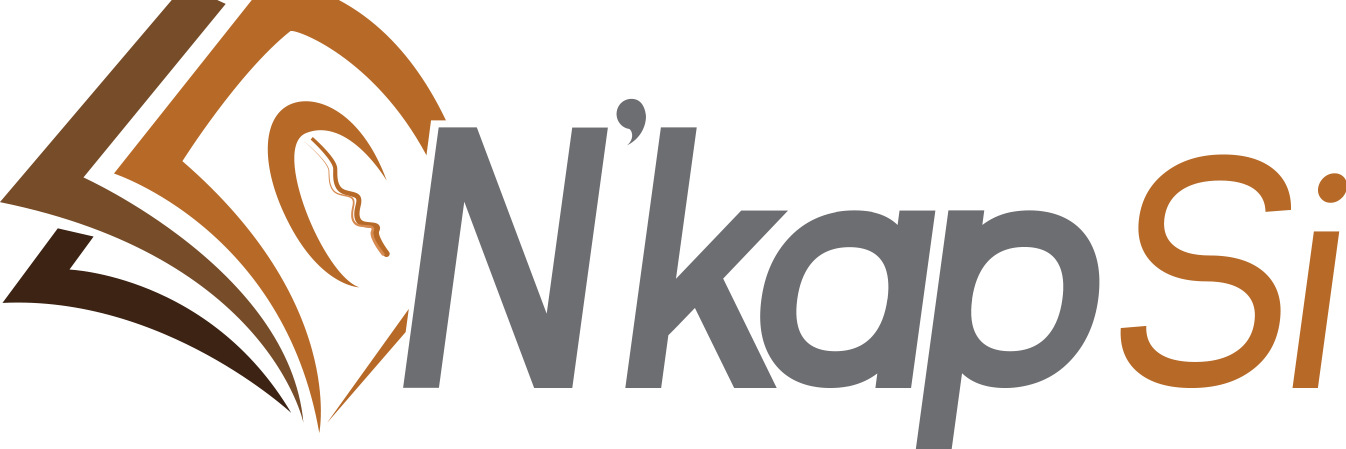 N'kap Si banner