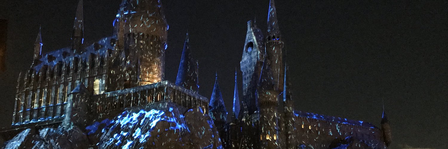 シロ(別名たくちゃん) banner