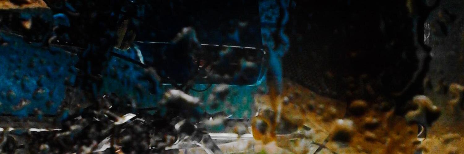 ThomassinDaniel's profile banner image