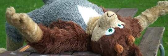 lamperfox's profile banner image