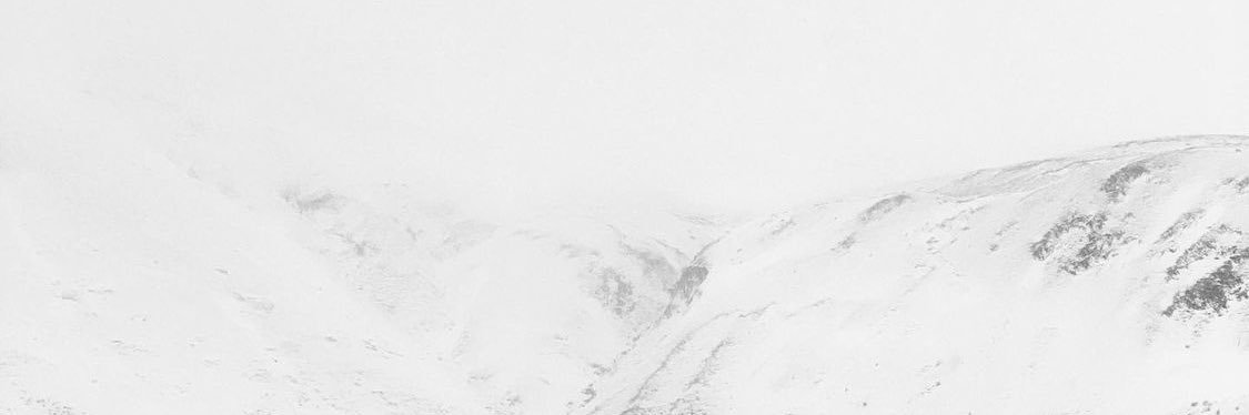 Colin Tennant banner