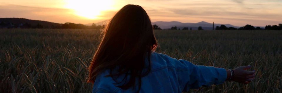 CatherineMotl's profile banner image
