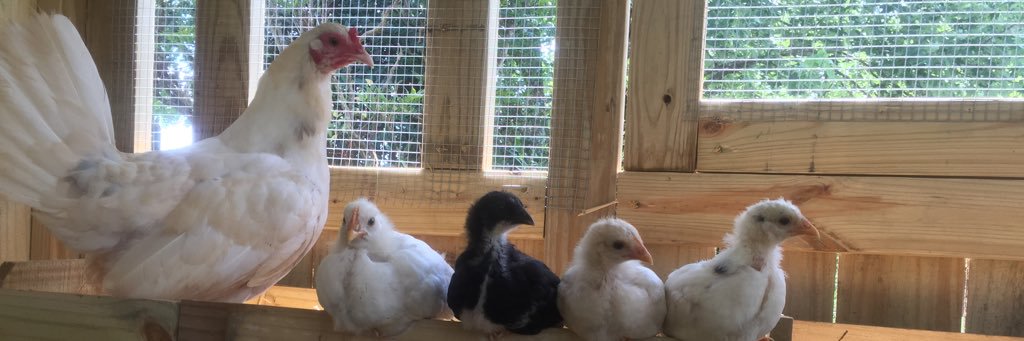 Farm of the Free Ⓥ banner