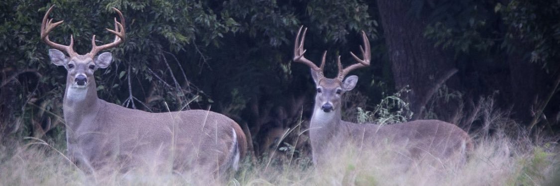 Long Acres Ranch banner