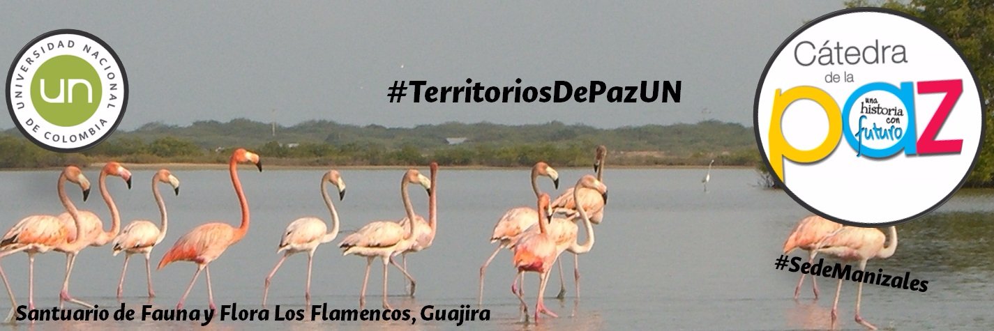 Relatos de Paz banner