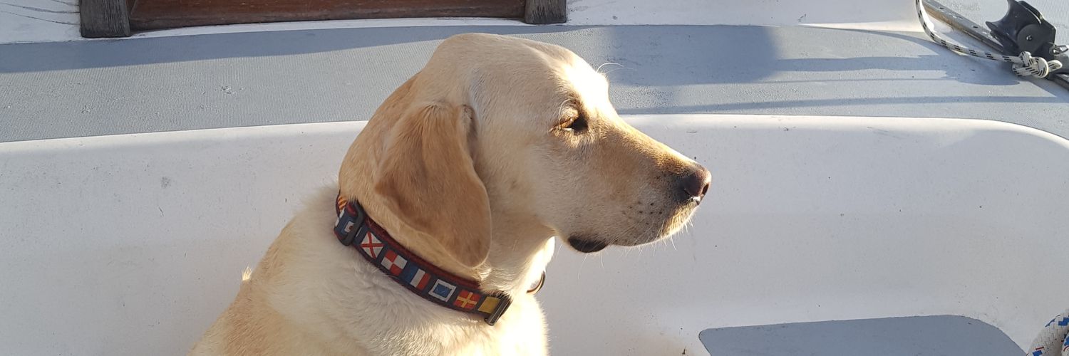 JoshTeaguer's profile banner image