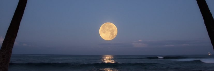 Reemae97's profile banner image