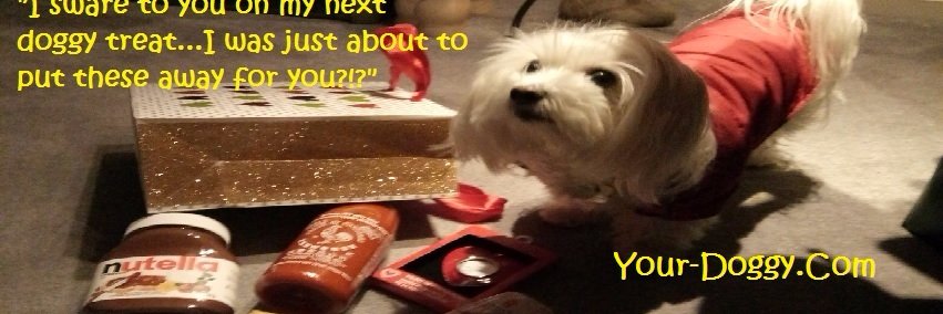 guccidogtrainin's profile banner image