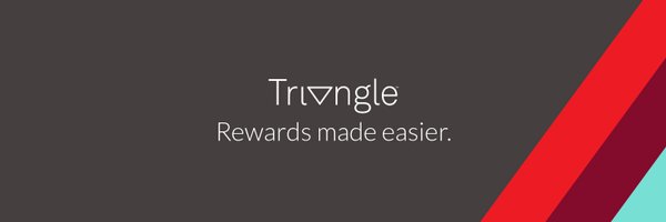 Triangle Profile Banner