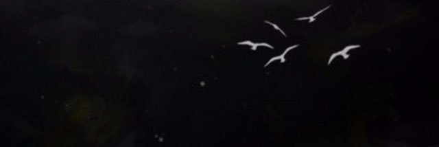 XblMeadows's profile banner image