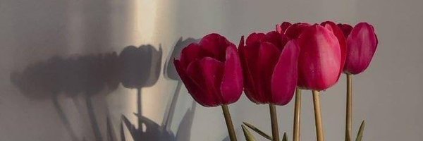 Aljazy203 Profile Banner