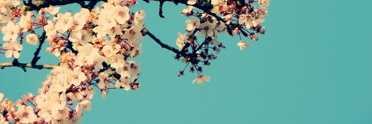 dosdemarzo's profile banner image