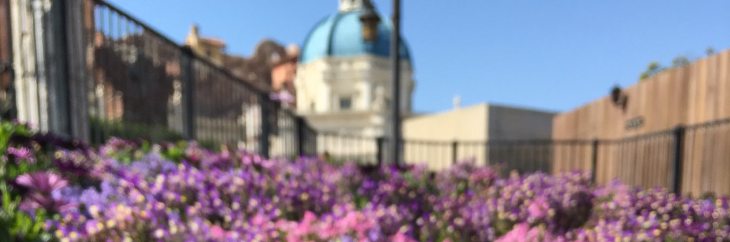 kizakis_rnp's profile banner image