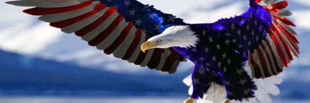 RBYBW4Liberty's profile banner image