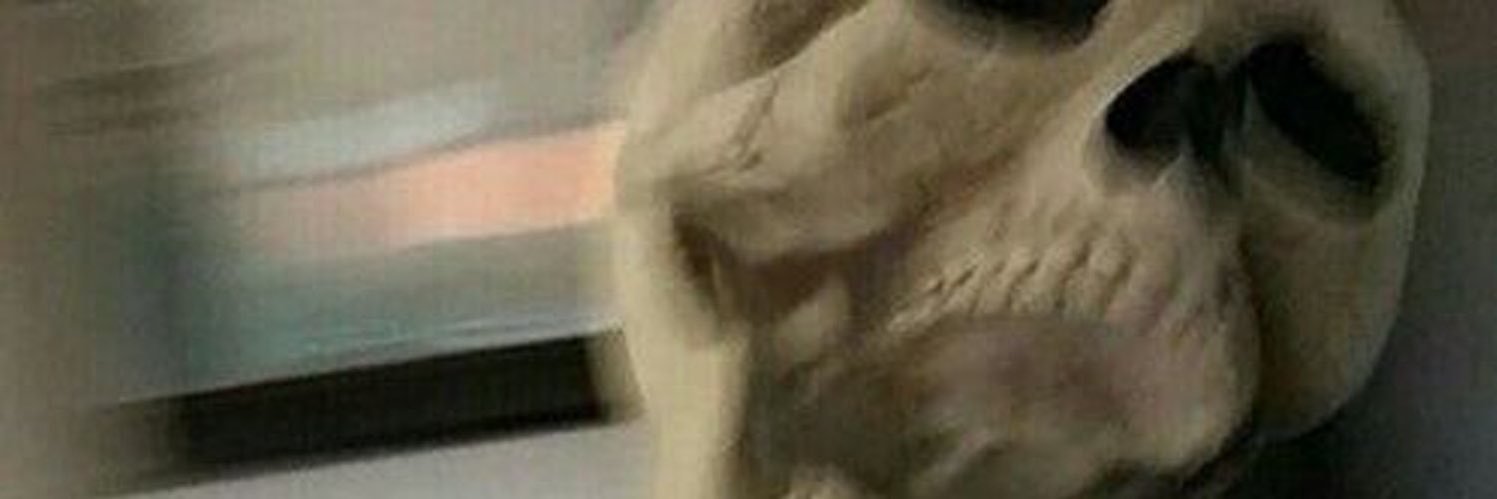 spookylio's profile banner image