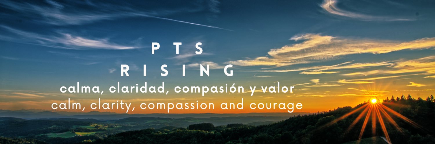 Phoenix-Talent SD4 banner