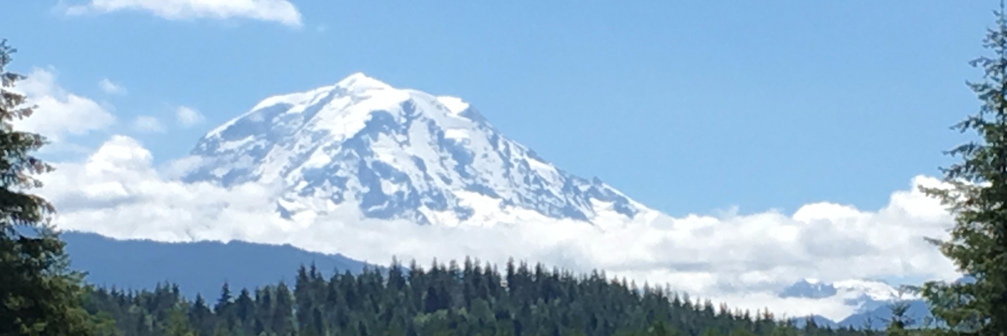 IAUGPacificNW's profile banner image