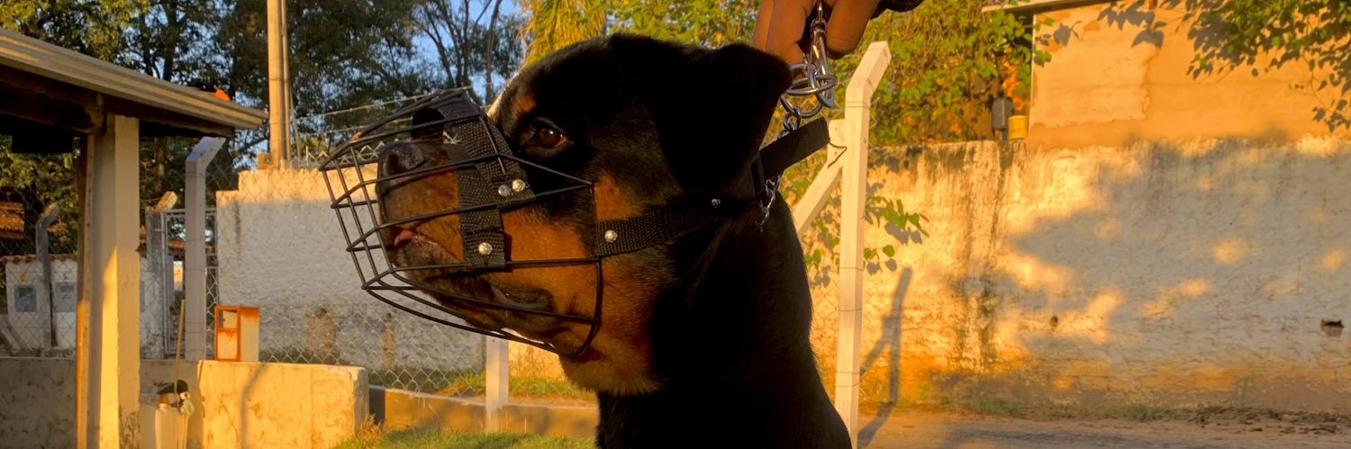 Alexandre_d_s_'s profile banner image
