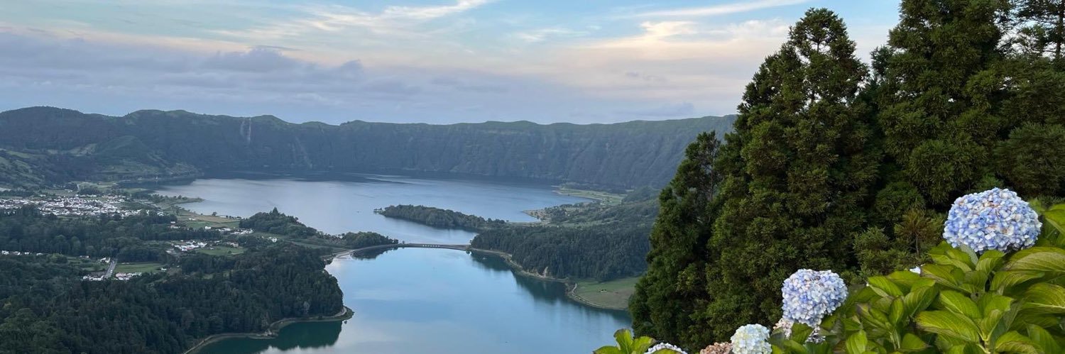 One Foot Forward Travel banner