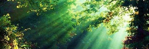 MaguiSLP's profile banner image