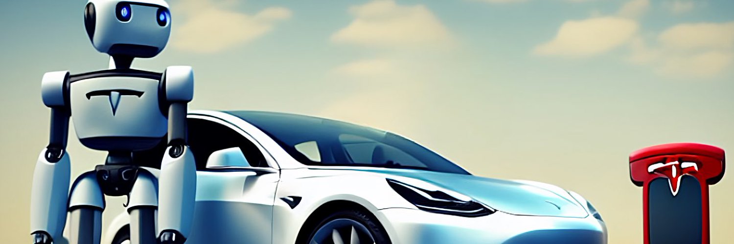 stekkerauto 🚗⚡️ Profile Banner