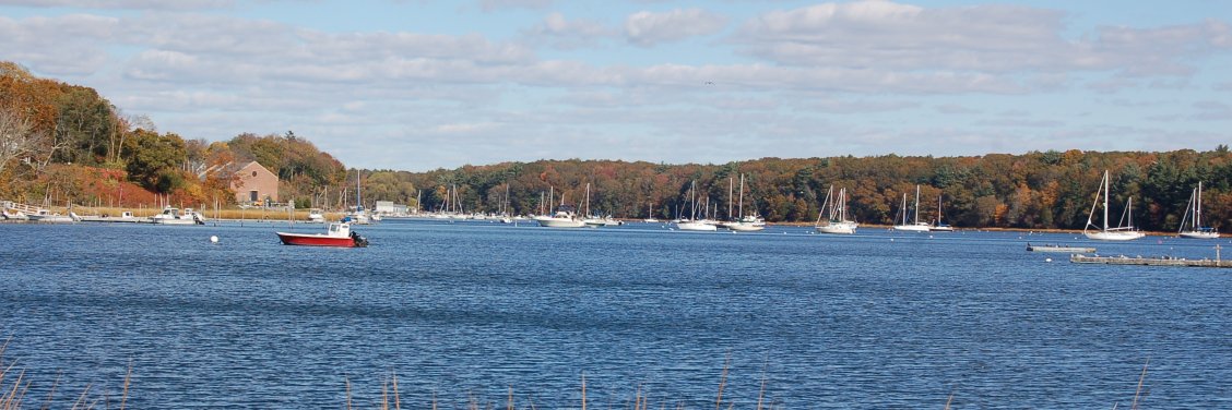 EGChamberofCommerce banner