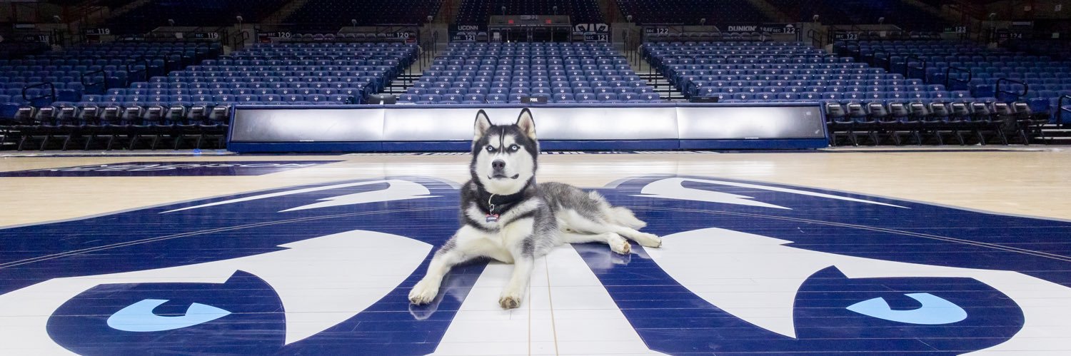 Jonathan the Husky banner