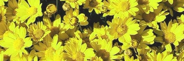 emeritusVpeter Profile Banner