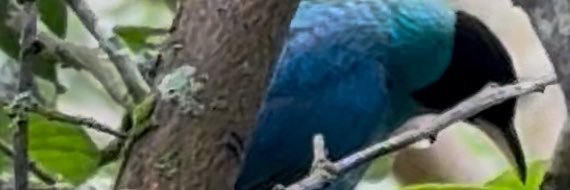 alsanchez0414's profile banner image