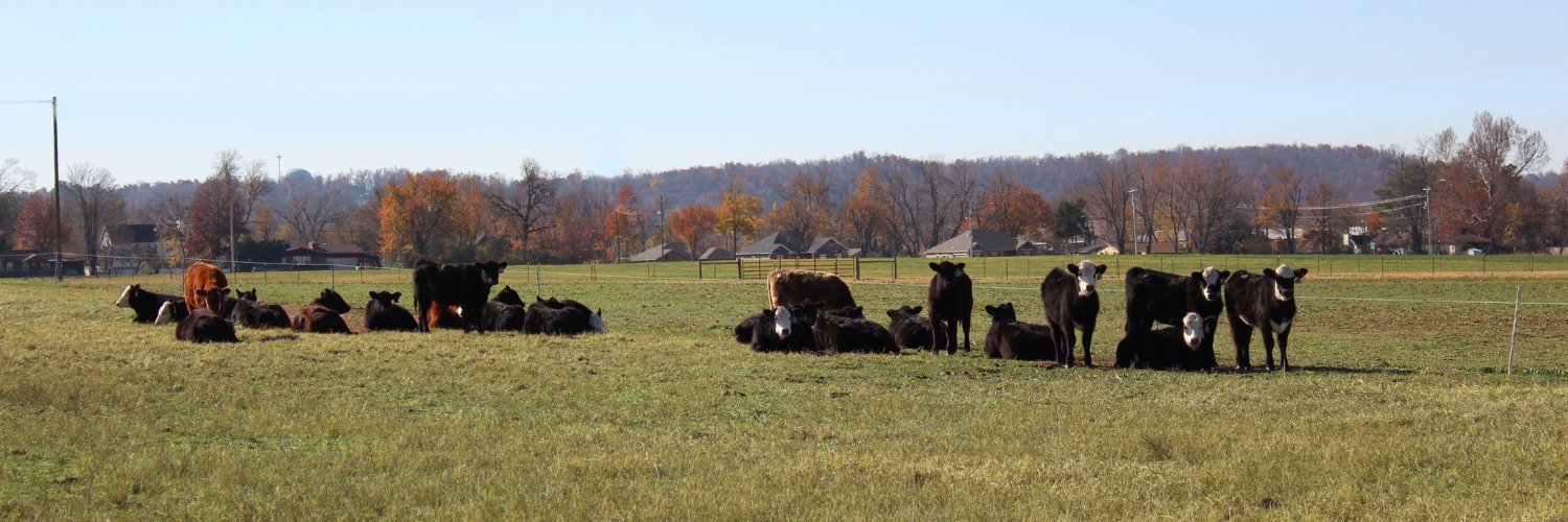 AnimalScienceUA's profile banner image