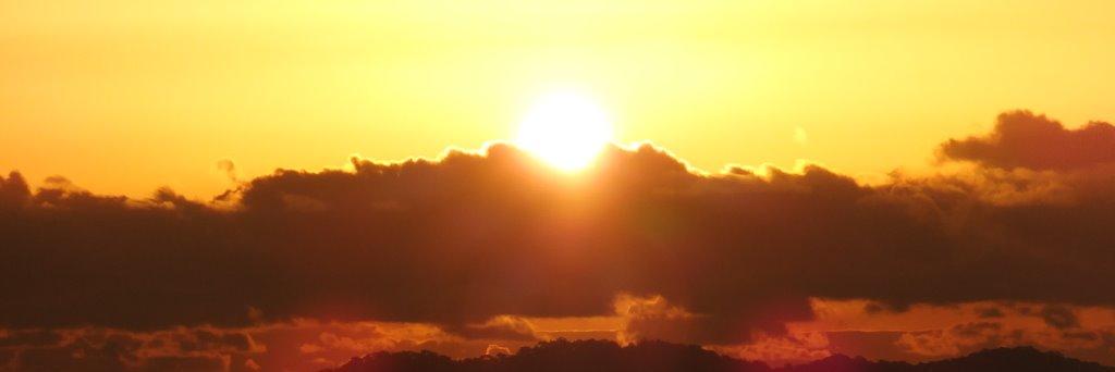 alritchie7's profile banner image