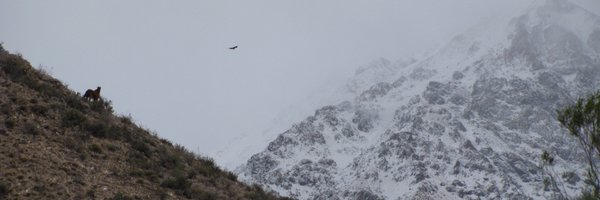 LabGardner Profile Banner