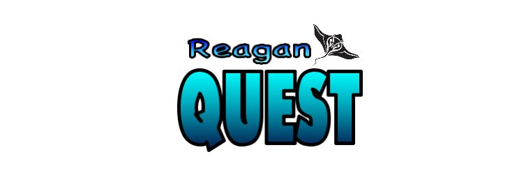 Reagan QUEST banner