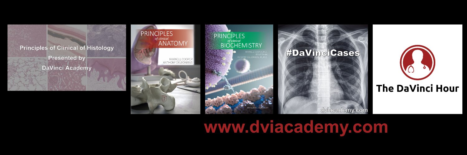 DaVinci Academy banner