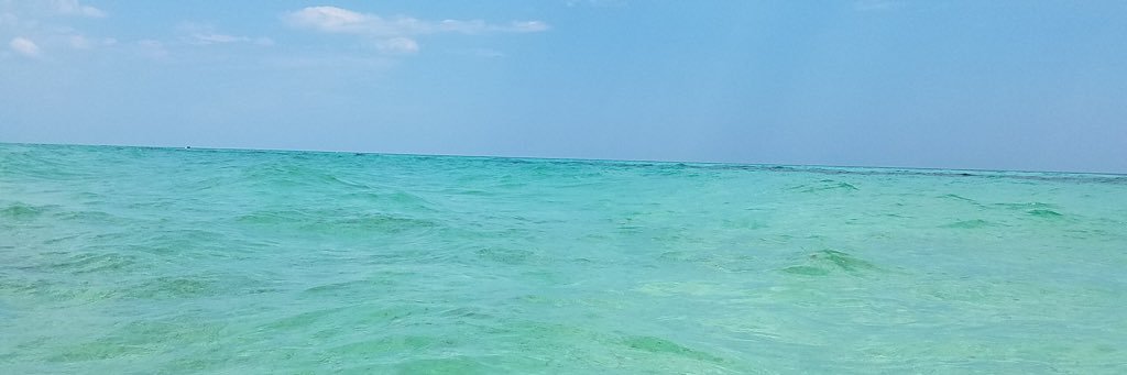 MissKossHCS's profile banner image