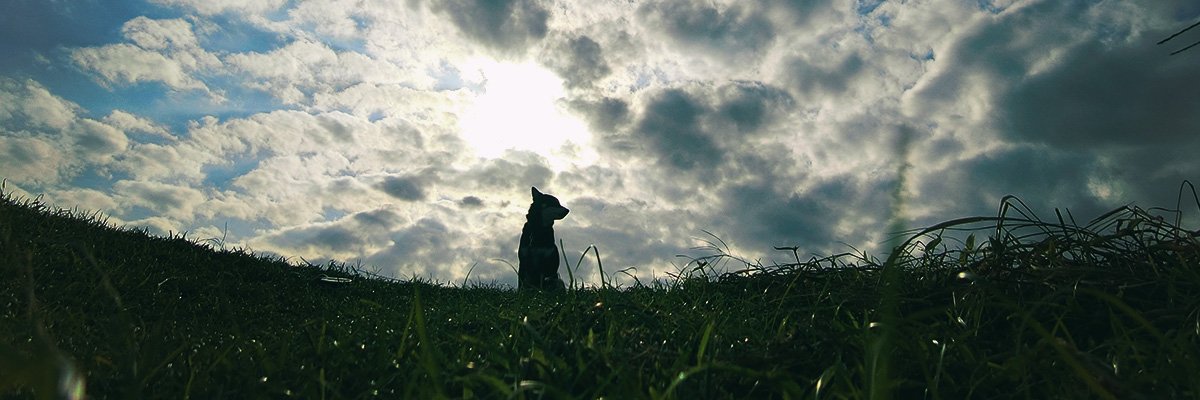 haruka322's profile banner image