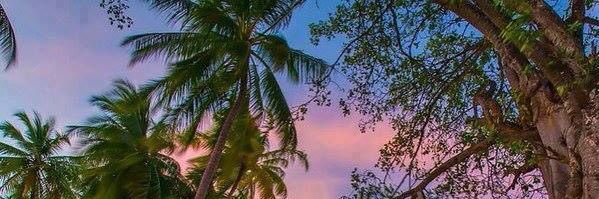 Aboudramane_F's profile banner image