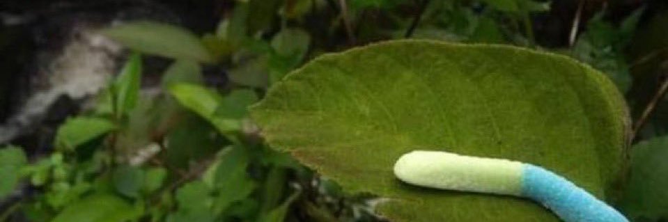 Aidacontilde's profile banner image