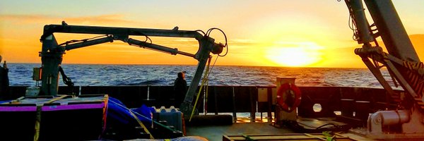 amwyatt Profile Banner