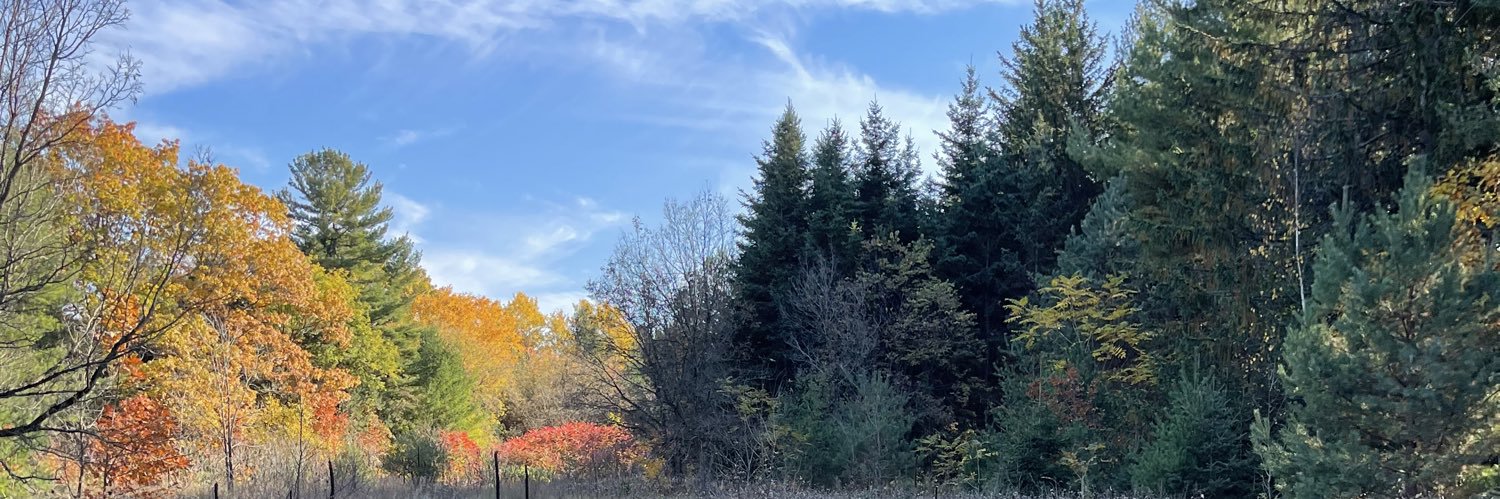 Curtizz's profile banner image