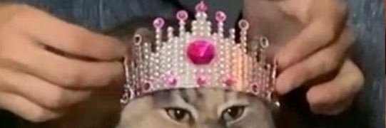 lele 🇦🇷 banner