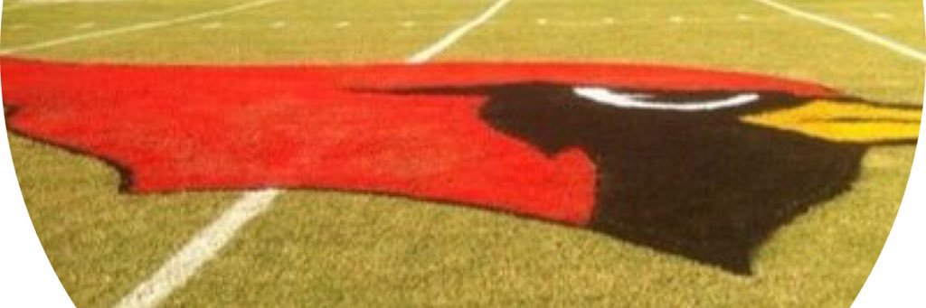 Potts Camp HS banner