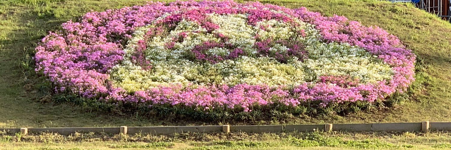 みぃ banner