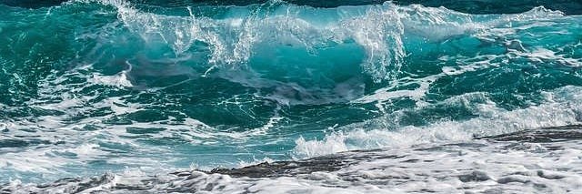 Sergio. banner