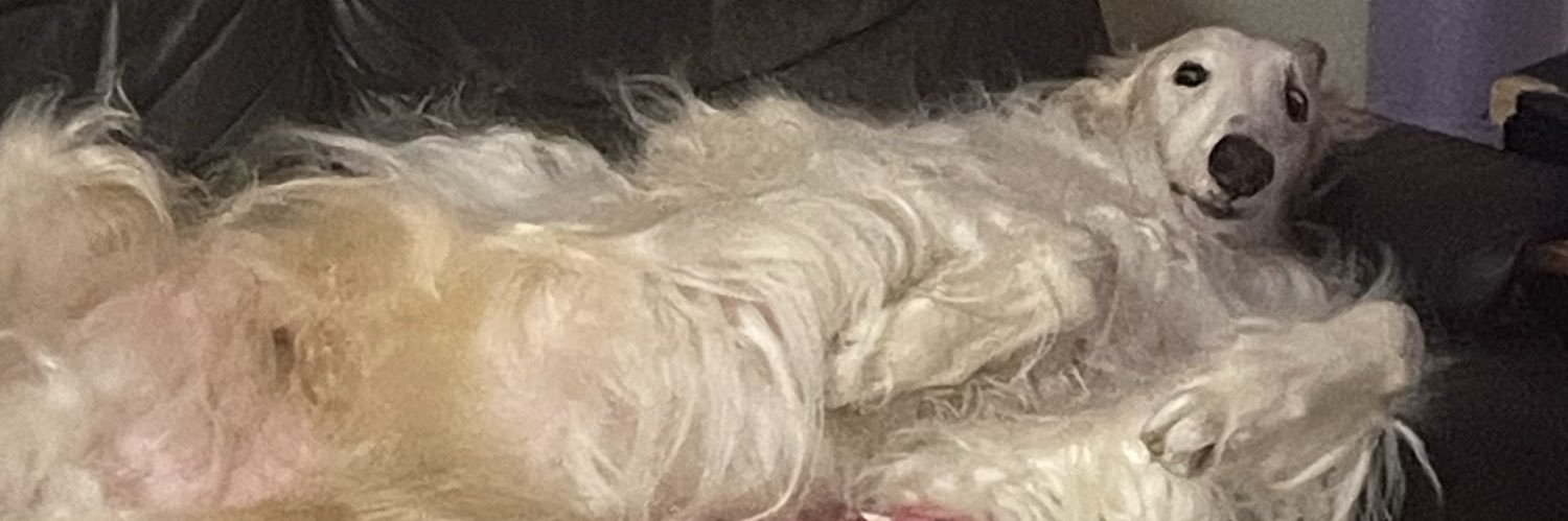 クルマエビの王様 banner