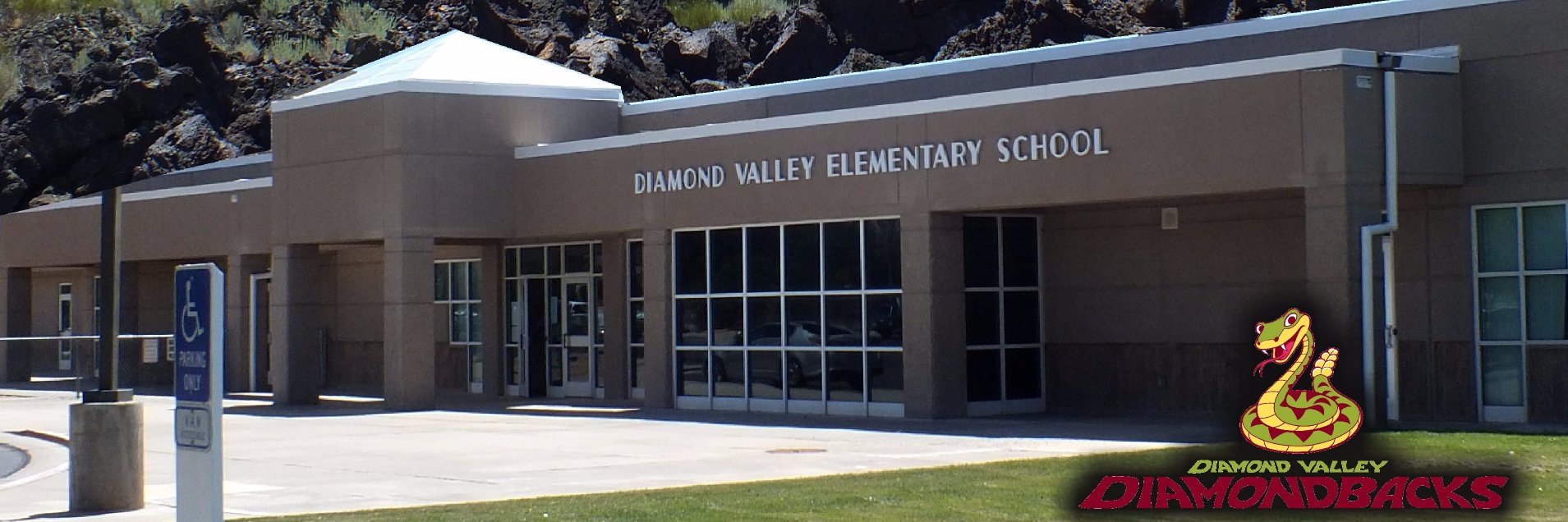 DVESdiamondback's profile banner image
