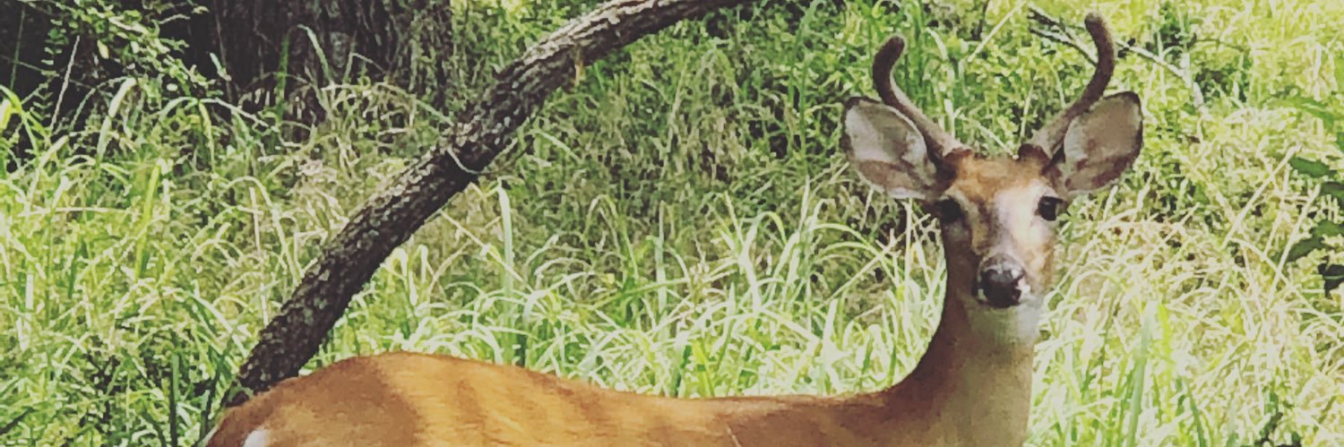 emarsh13's profile banner image